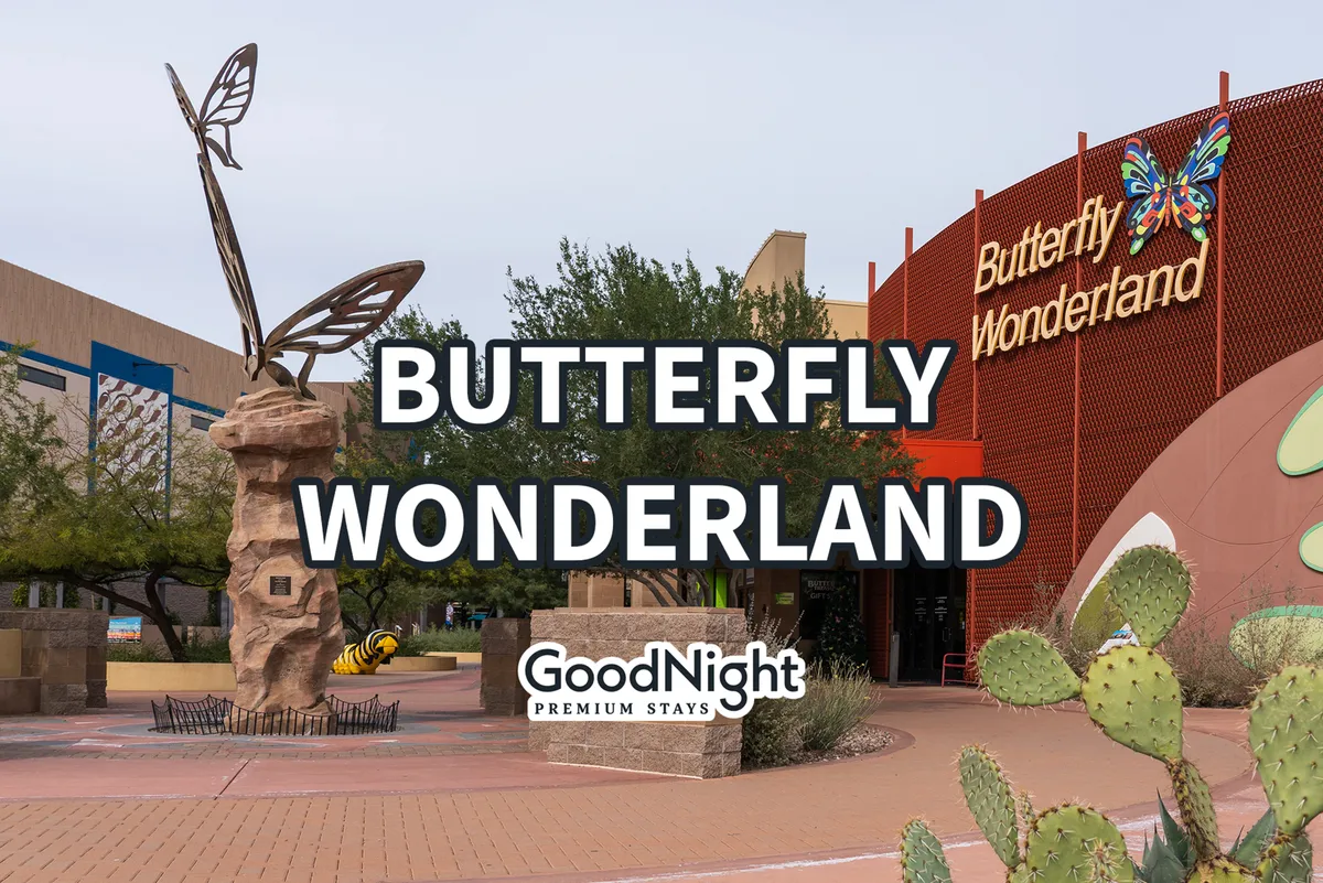 A colorful exterior scene showing the large butterfly sculpture and Butterfly Wonderland sign, with cacti and desert landscaping in the foreground. The setting is playful and invites curiosity, hinting at interactive, educational experiences for all ages.