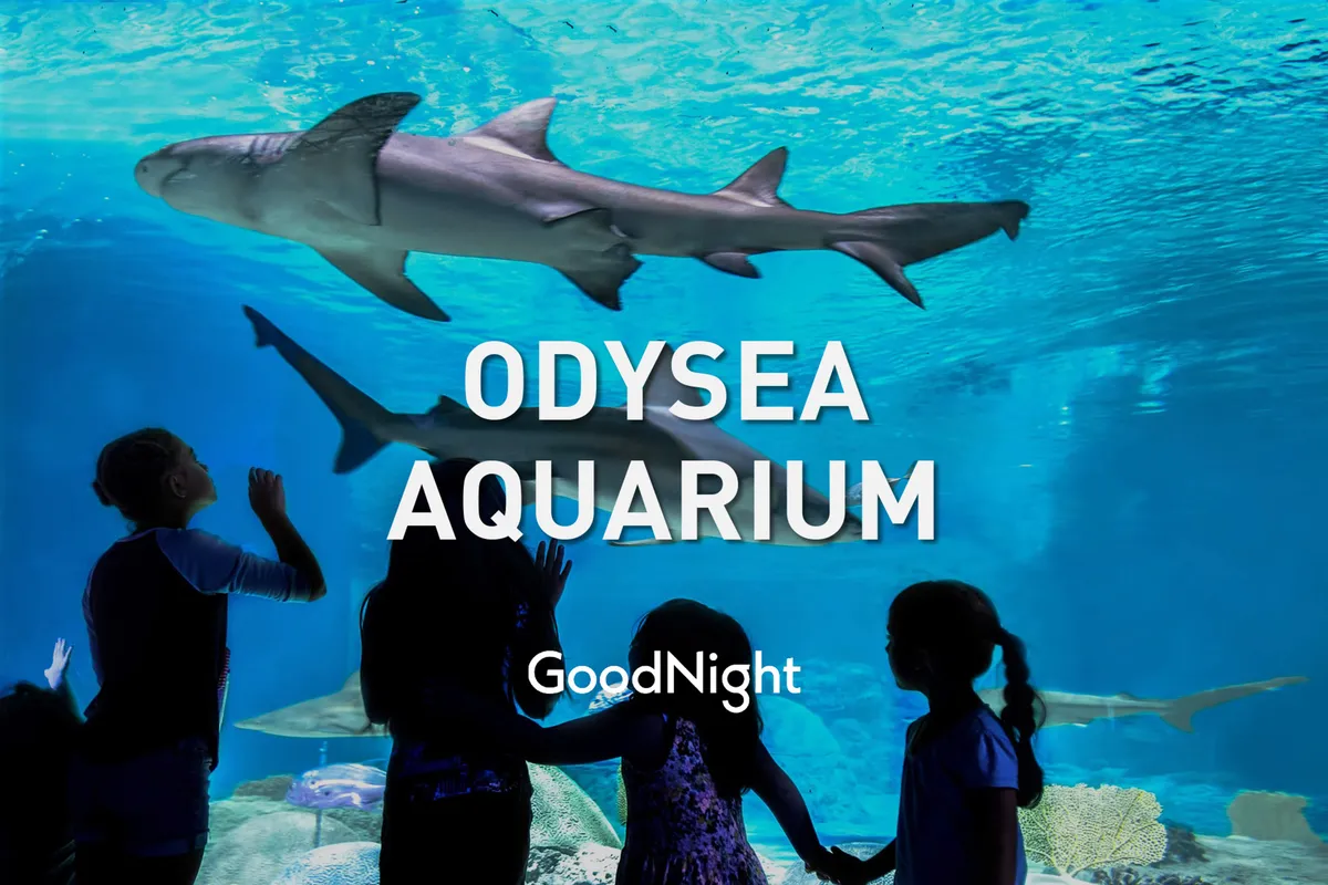 An interior scene inside OdySea Aquarium showing children observing sharks through a large glass wall. The children's faces are lit with curiosity, and the atmosphere is interactive and vibrant.